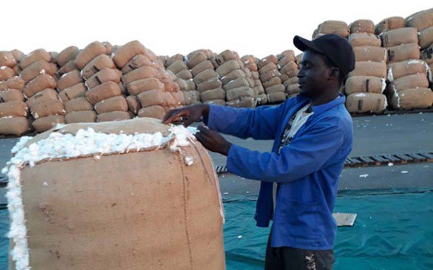 Silver bullet for cotton production: Made