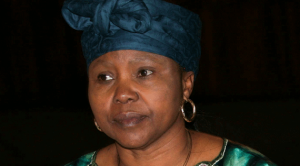 Minister of Environment, Water and Climate Change Oppah Muchinguri-Kashiri,