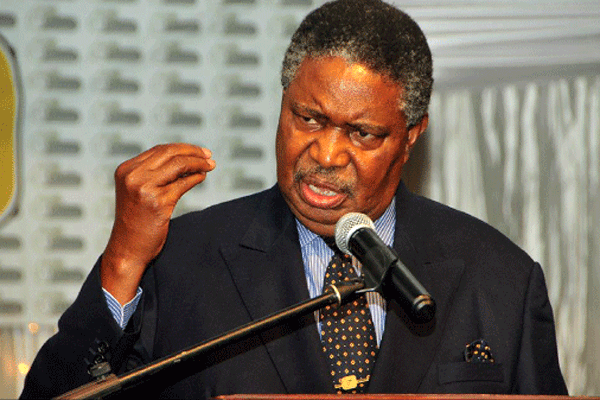 VICE-President Phelekezela Mphoko
