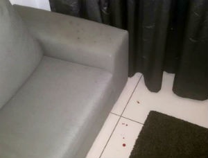 Security report details Grace Mugabe incident