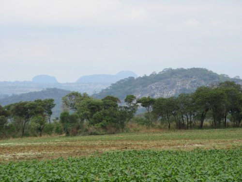 The 20 top Zimbabweland blogs of 2017, so far! The 20 top Zimbabweland blogs of 2017, so far!