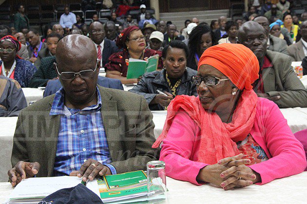 Cdes Chinamasa (left) and Prisca Mupfumira