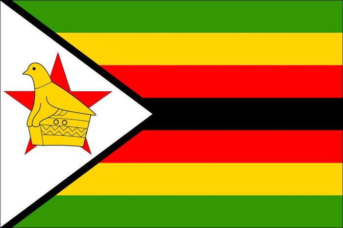 GL – inclusive, free and fair elections in Zimbabwe