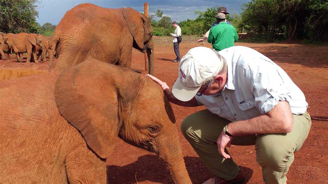 Zimbabwe can’t manage its elephant population while in political upheaval, experts say 