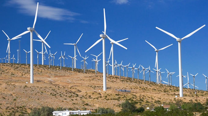 Zim puts wind energy plan on hold