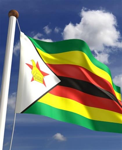 EXCLUSIVE: Report hints at 900 000 ghost-voters in Zim election 