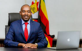 Chamisa or ED: It’s the economy stupid Chamisa or ED: It’s the economy stupid
