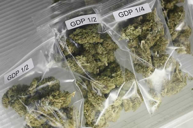 JUST IN: $10m for cannabis production