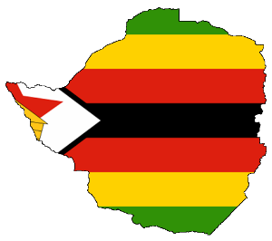 Could fibre help Zimbabwe with cash flow? Could fibre help Zimbabwe with cash flow?