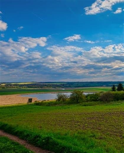Zim land beneficiaries to compensate white farmers, says govt 