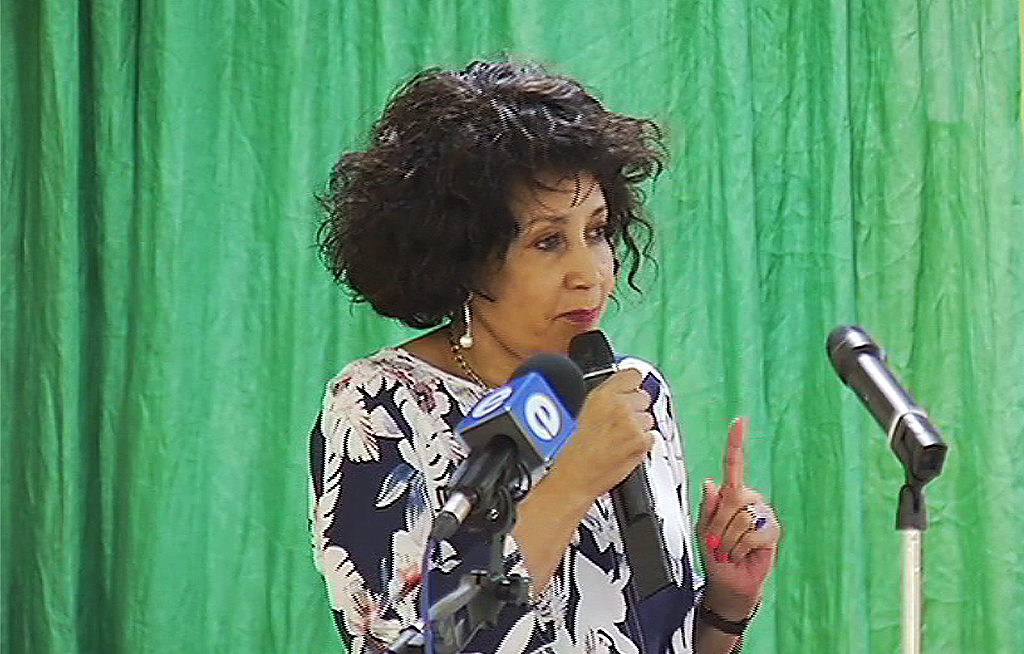 Pretoria ready to aid crisis ridden Zimbabwe