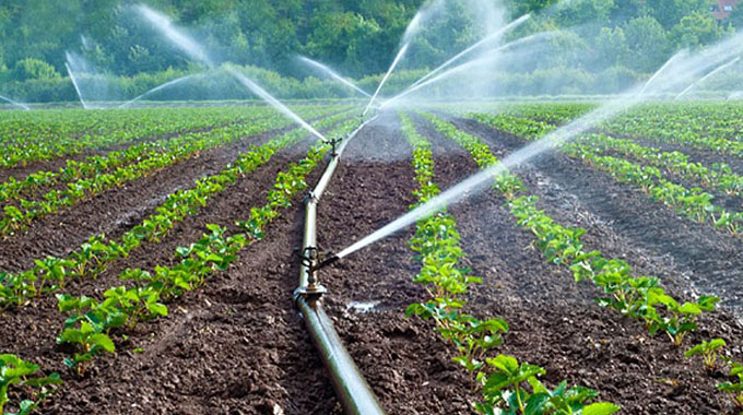 Govt plans to put 443 000ha under irrigation