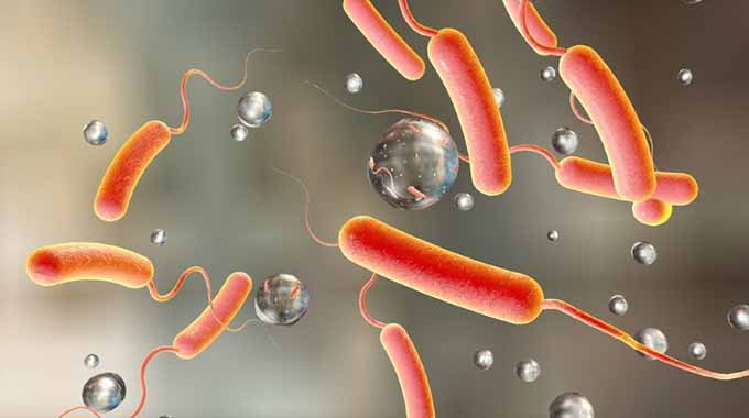 US hails progress in fight against cholera US hails progress in fight against cholera