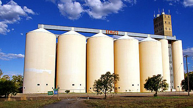 GMB introduces medical aid for farmers