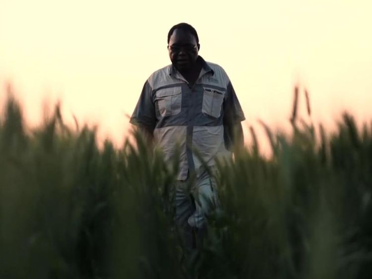 Many continue to work on previously white-owned farms but it could take decades of investment to rebuild the sector