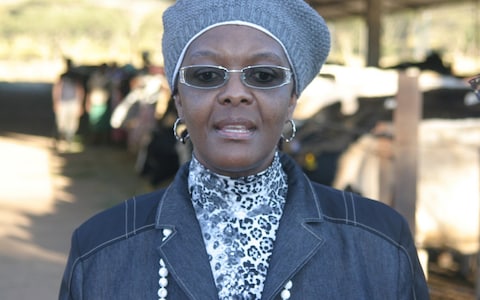 Grace Mugabe at Gushungo Dairy Estate, which she took over in 2009