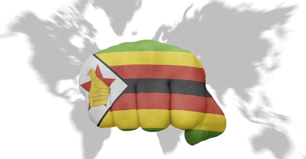 Global concern over Zimbabwe situation