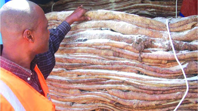 Export relief for raw hide merchants