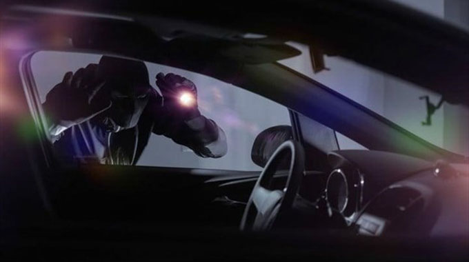 SA Hawks arrest car thief, smuggling suspect