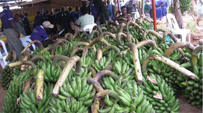 Govt grants nod to bananas deal
