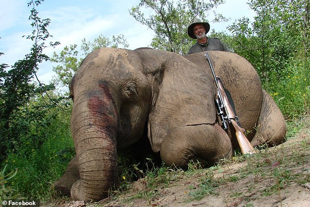 The hunter's Facebook page is filled with images of him posing with his kills - ranging from elephants and buffalo to crocodiles, hippo, rhinos, bear and deer