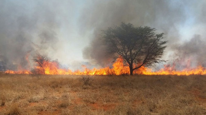 Masvingo least affected by veld fire