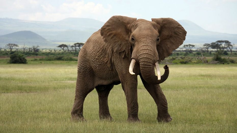 Fox News Flash top headlines for May 13