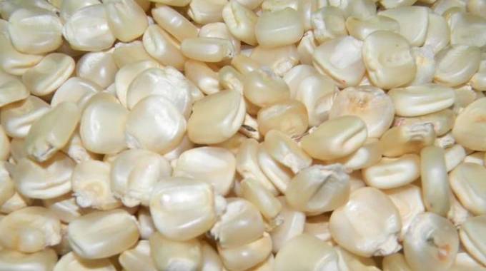 Maize imports for drought stricken areas