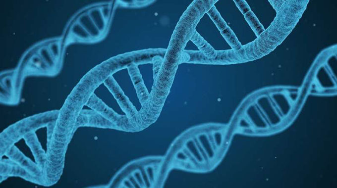Idai: Govt appeals for DNA samples