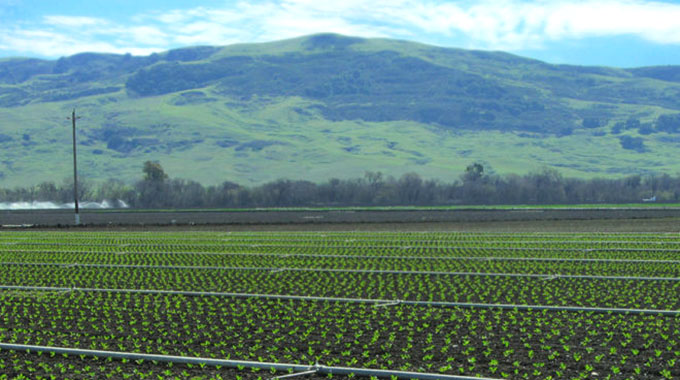 Land audit covers over 57 000 farms