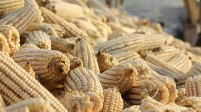 Editorial Comment: Timely interventions for food security key