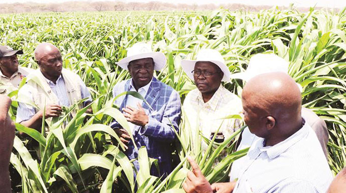Agric productivity could be the answer