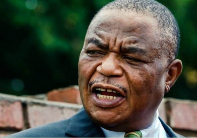 Chiwenga-VP1.jpg