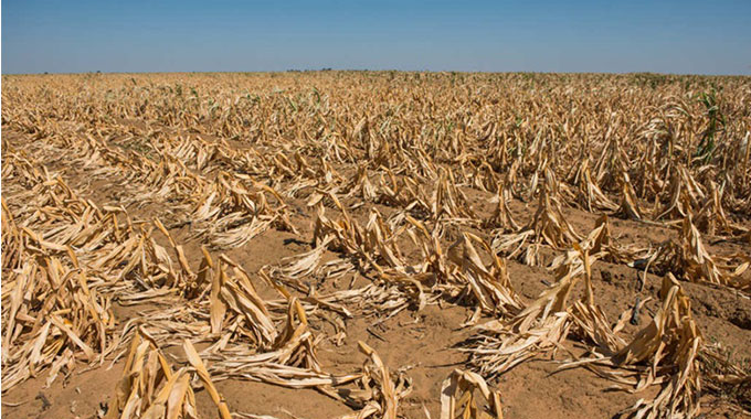 Call to declare Matabeleland South drought a disaster