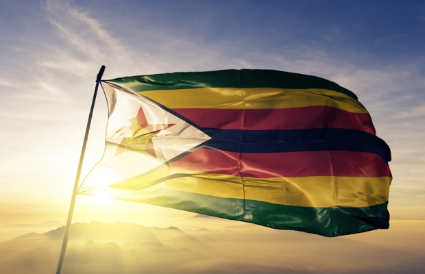 Zimbabwe should simplify its IP laws, says government official