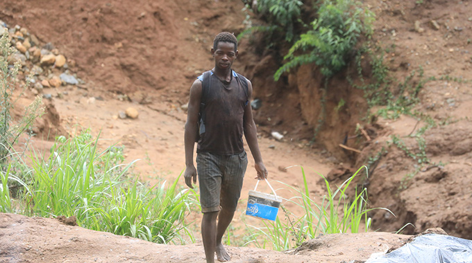 Illegal miners wreak havoc in Mazowe