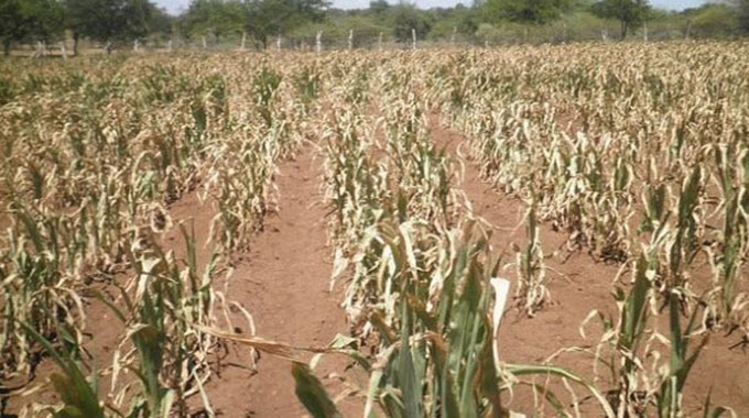 Editorial Comment: Catch-22 for farmers