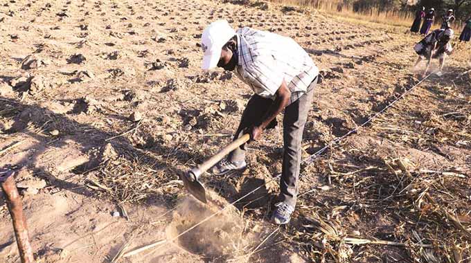 Farming season preps start with inputs distribution