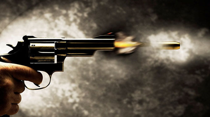 Zanu PF youth shot dead, nine injured