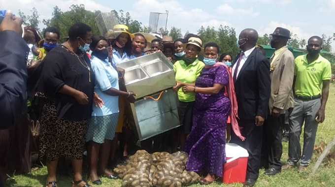 ‘Embrace Pfumvudza, shun prostitution’