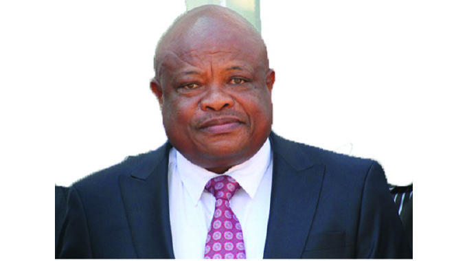 ZimRights loses fines challenge