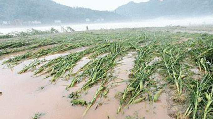 Dams burst destroy crops, sweep away livestock