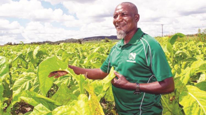 Tobacco farmers earn US$9m in 3 days