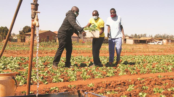 Youth League comes to aid of horticultural projects