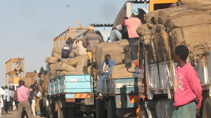 Tobacco farmers’ efforts going up in smoke through nocturnal deliveries