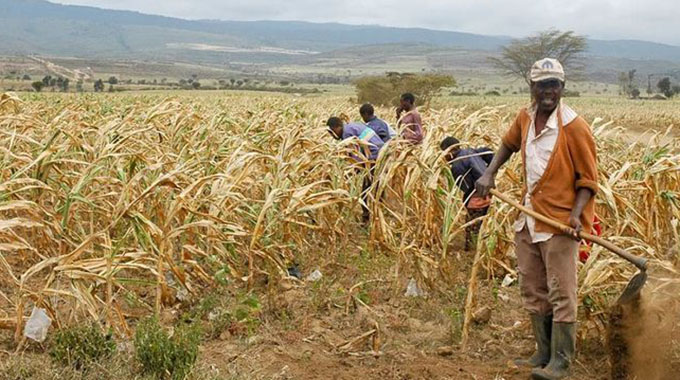 Youths must participate in climate change issues