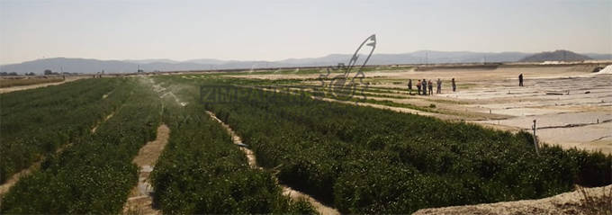 Shamva Mine puts an end to dust pollution
