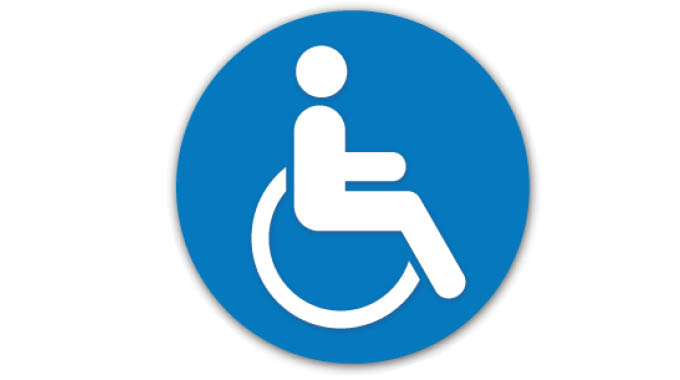 Disability data collection during 2022 census