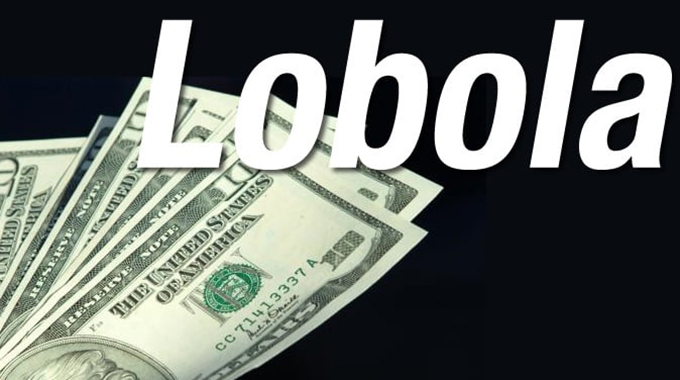 Lobola law splits Parliament, Senate