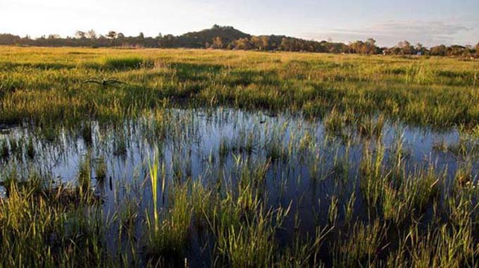 Cabinet applauded for approving National Wetlands Policy